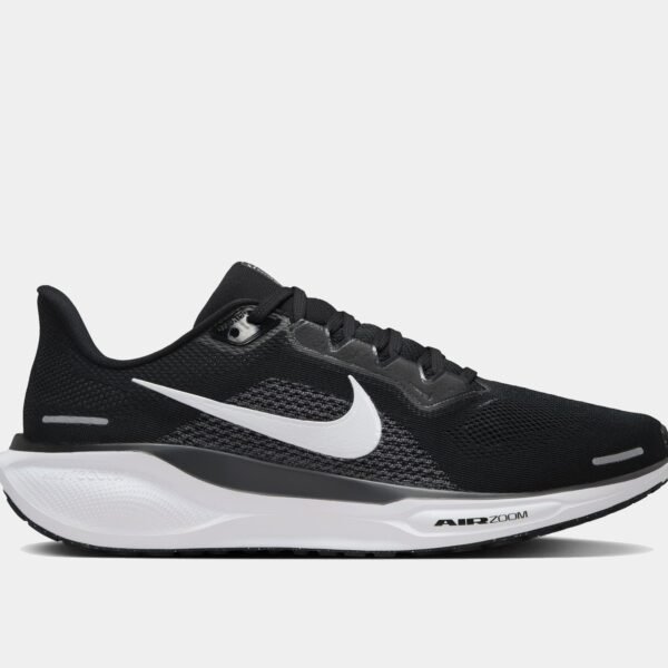 Air Zoom Pegasus 41