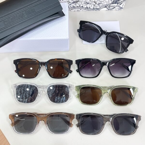 Dior Ribbon S1F Sunglasses
