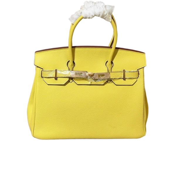 Hermes Birkin 04