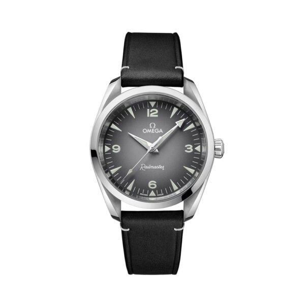 Seamaster Railmaster 38mm - Grey on Leather Strap