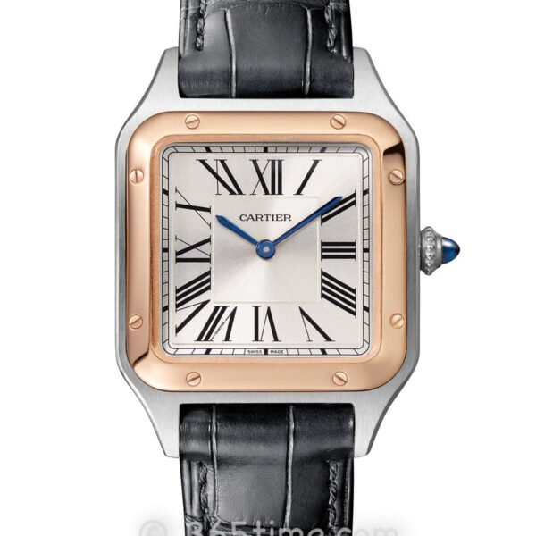 Replica Santos 904l Stainless Steel Quartz Movement Watch 27mm/31mm