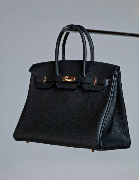Hermes Birkin 01